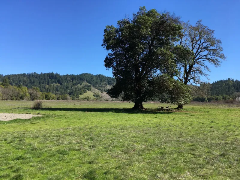 Fewer Neighbors, Better Outcomes: How Humboldt County's Open Landscape Shapes Its Public Health Story