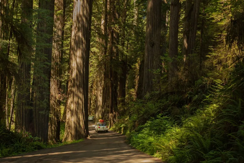 One Tank, Every Appointment: How Rural Humboldt Residents Are Batch-Building Their Preventive Care