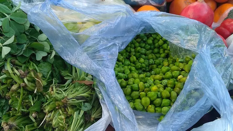 Eating With the Seasons: A Humboldt County Guide to Food That Supports Your Health Year-Round