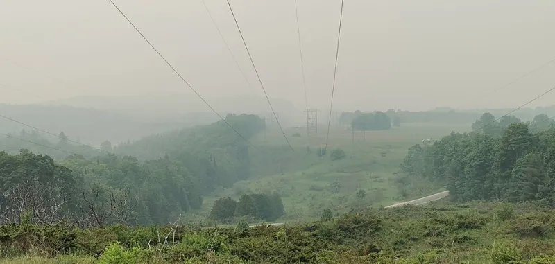 Breathing Through Fire Season: A Humboldt County Resident's Guide to Wildfire Smoke and Respiratory Health